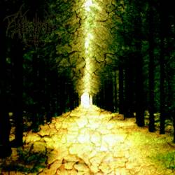 Enter the Kingdom of Night